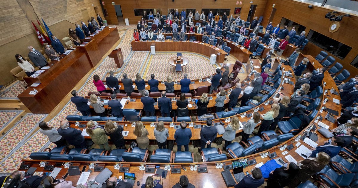Vox volverá a proponerle a Ayuso la reducción de diputados en la ...