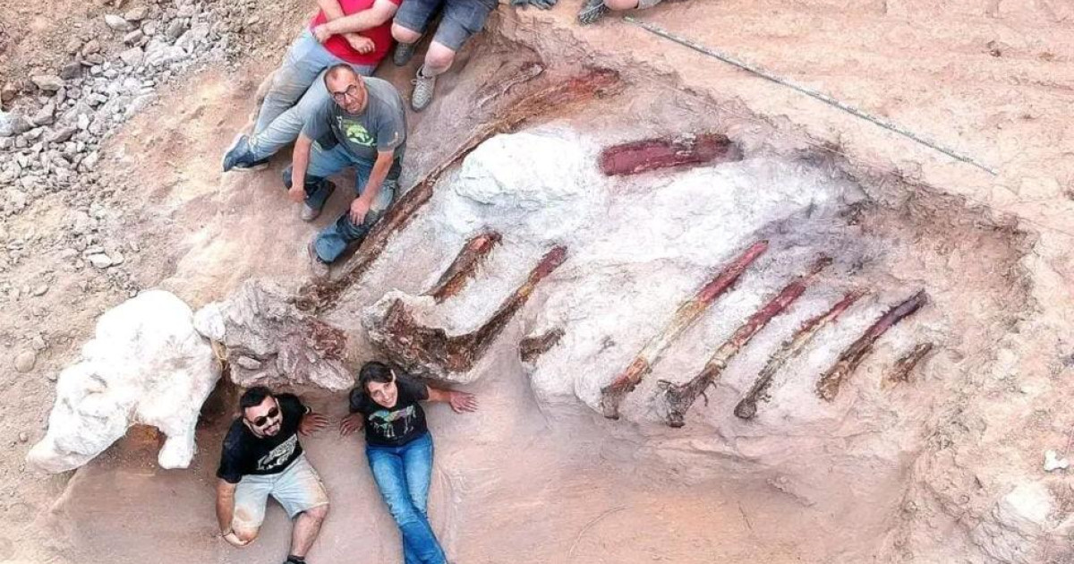 Descubierto en Portugal el que podría ser el dinosaurio más grande de Europa Descubierto en Portugal el que podría ser el dinosaurio más grande de Europa