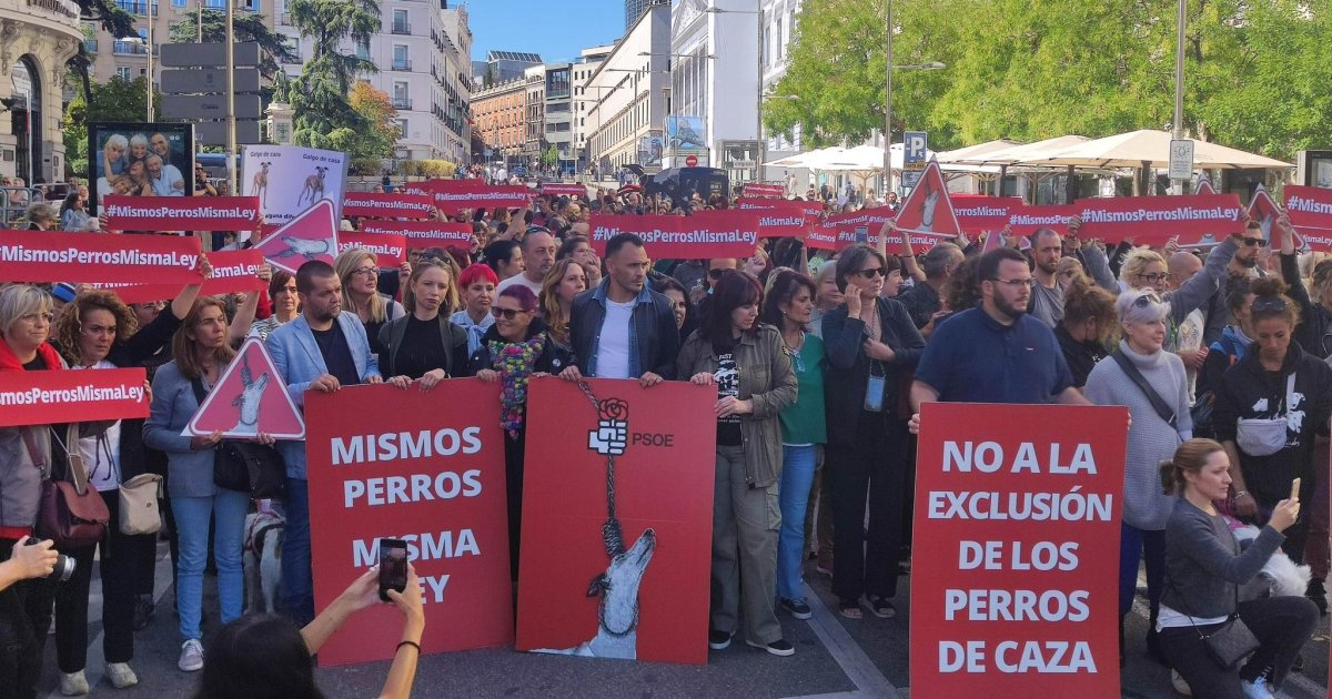 Famosos protestan en contra de las enmiendas del PSOE para marginar a ...