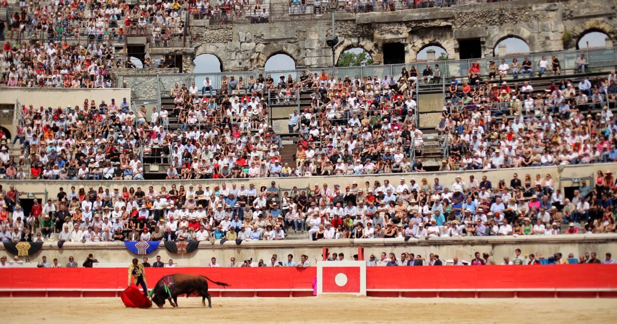 Francia retira la iniciativa para abolir las corridas de toros por ...