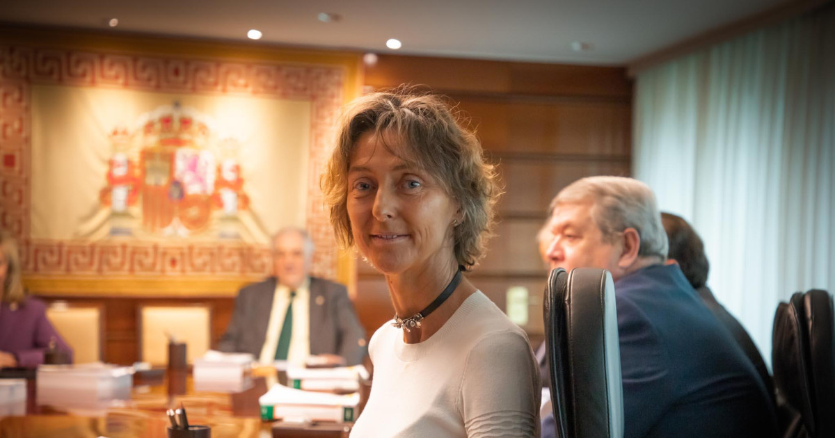 El TC decidirá sobre el recuento de los votos nulos de Madrid sin ...