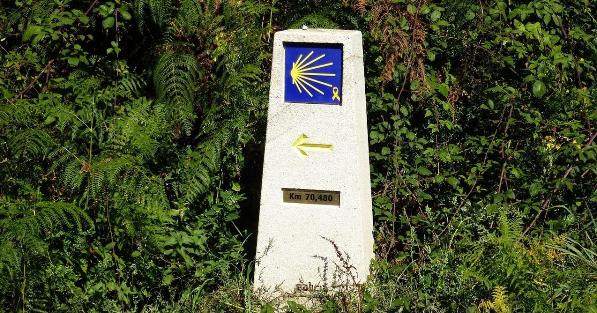 Esta es la razón por la que las flechas que marcan la ruta del Camino ...