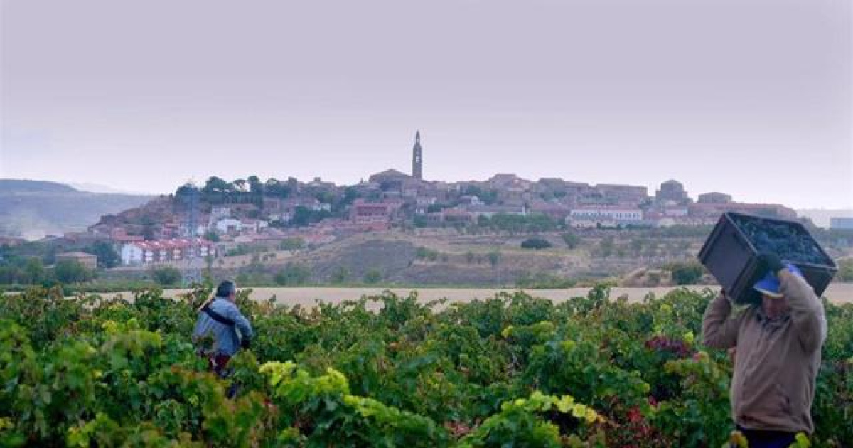 Il documentario di López Linares su La Rioja, una radiografia della terra dai mille vini