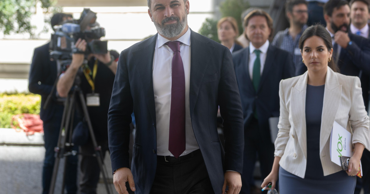 Abascal acusa al PP de apropiarse de la propuesta de desplegar al ...