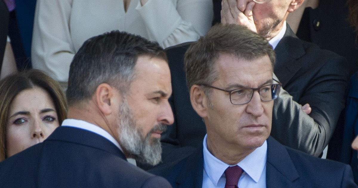El 40 % de los españoles ve acertada la ruptura de Vox con el PP, con ...