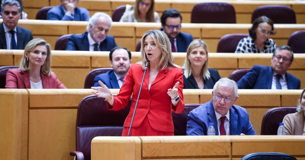 El PP aplazará en el Senado la votación de la reforma legal que ...