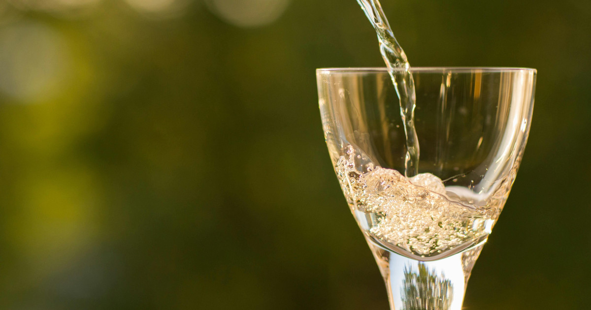 ¿Es el vino tinto realmente mejor que el blanco? Un estudio responde