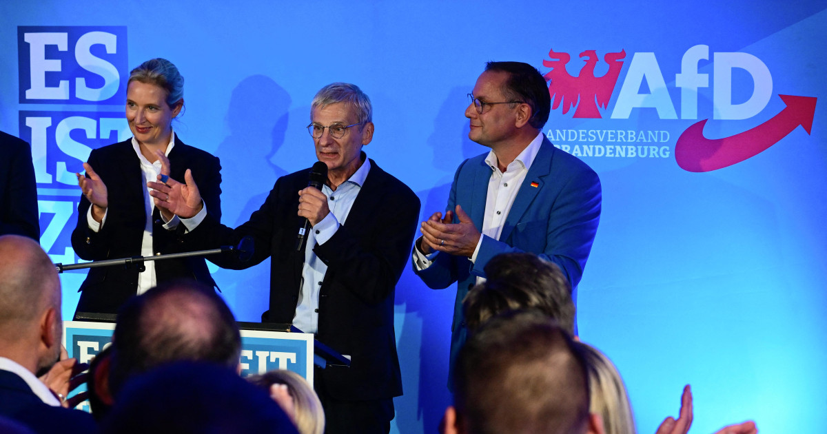 La Justicia de Alemania prohíbe clasificar a la AfD de «extrema derecha ...