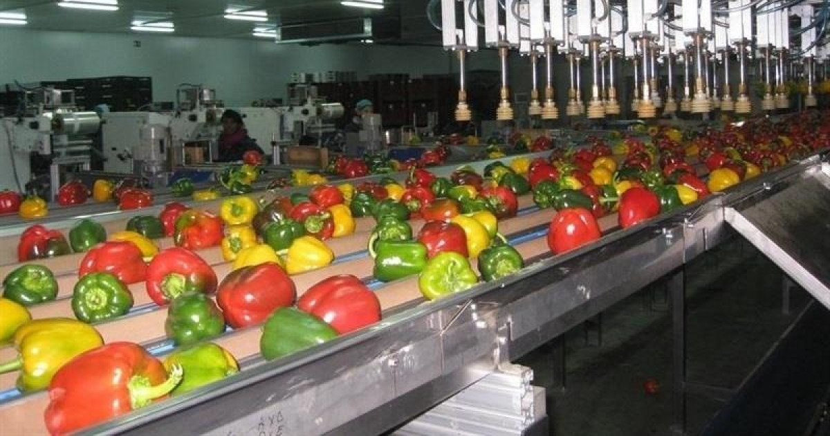 Las frutas y hortalizas más exportadas desde España y a qué países llegan