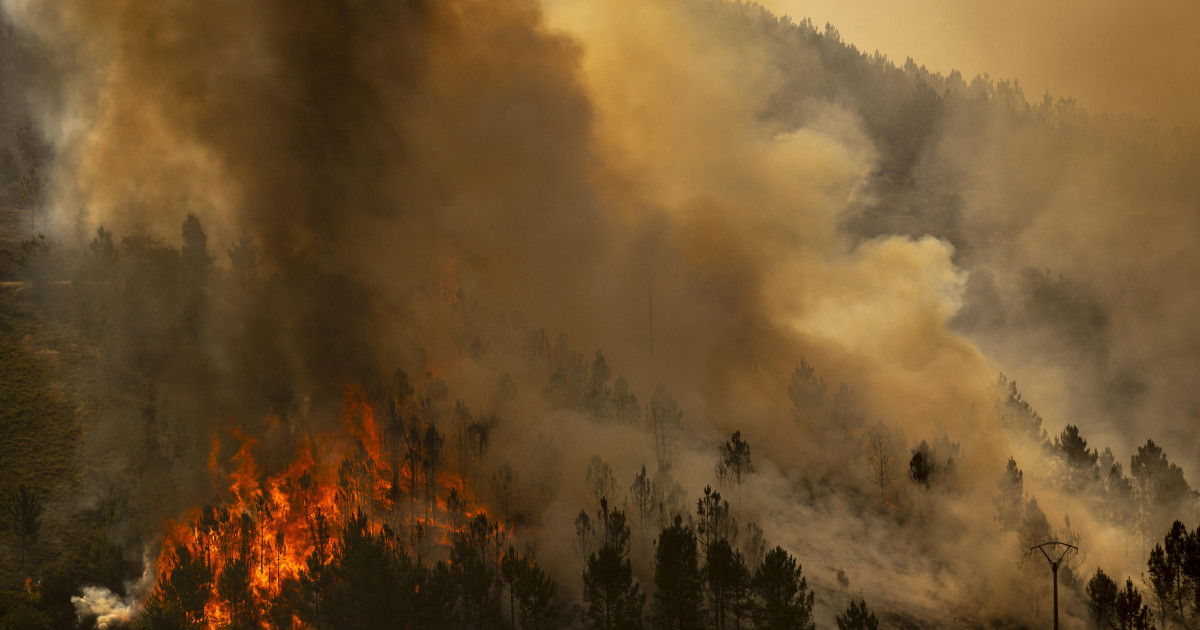 La cifra de superficie arrasada por los incendios en Galicia casi se ...