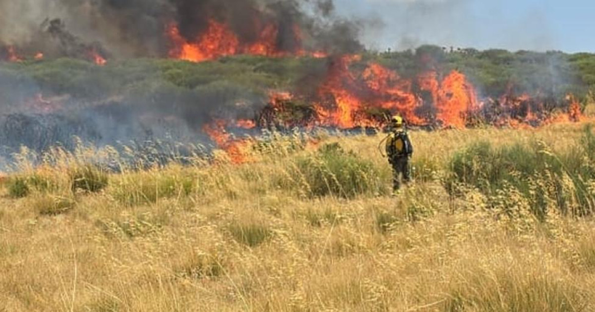Detienen a un menor como presunto autor de siete incendios en Santiago