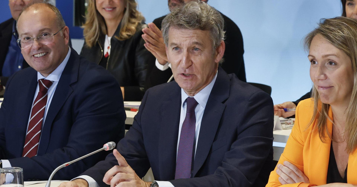Feijóo acusa a Sánchez de convertir al PSOE en una organización ...