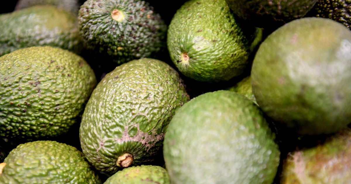 Las importaciones de aguacate de Perú – El reportero andino