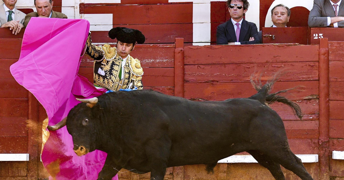 Morante y Roca Rey serán los grandes reclamos de la feria taurina de Burgos
