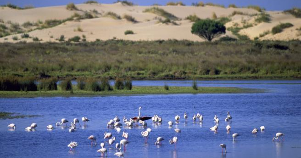 Día Mundial de los Humedales: estos son los más bonitos de España