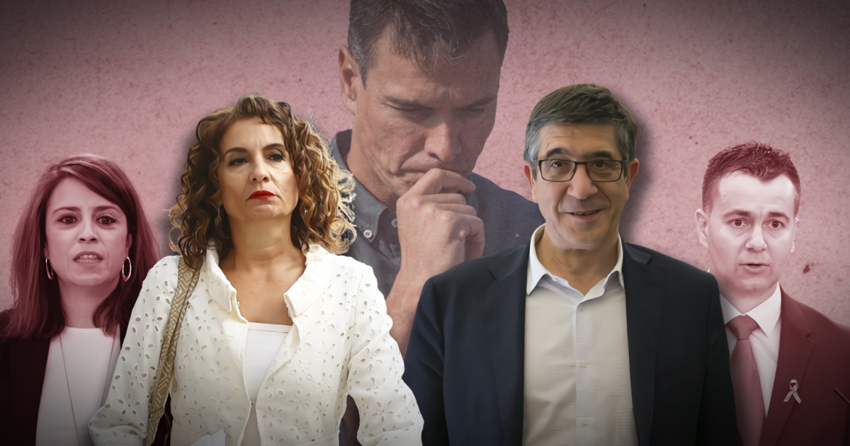 Sánchez «interviene» el PSOE en plena deriva y ante el avance del PP de ...