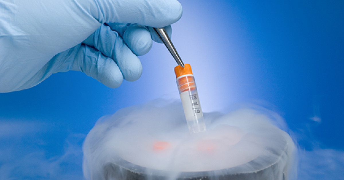 Científicos de Texas A&M avanzan en método para congelar órganos sin dañarlos