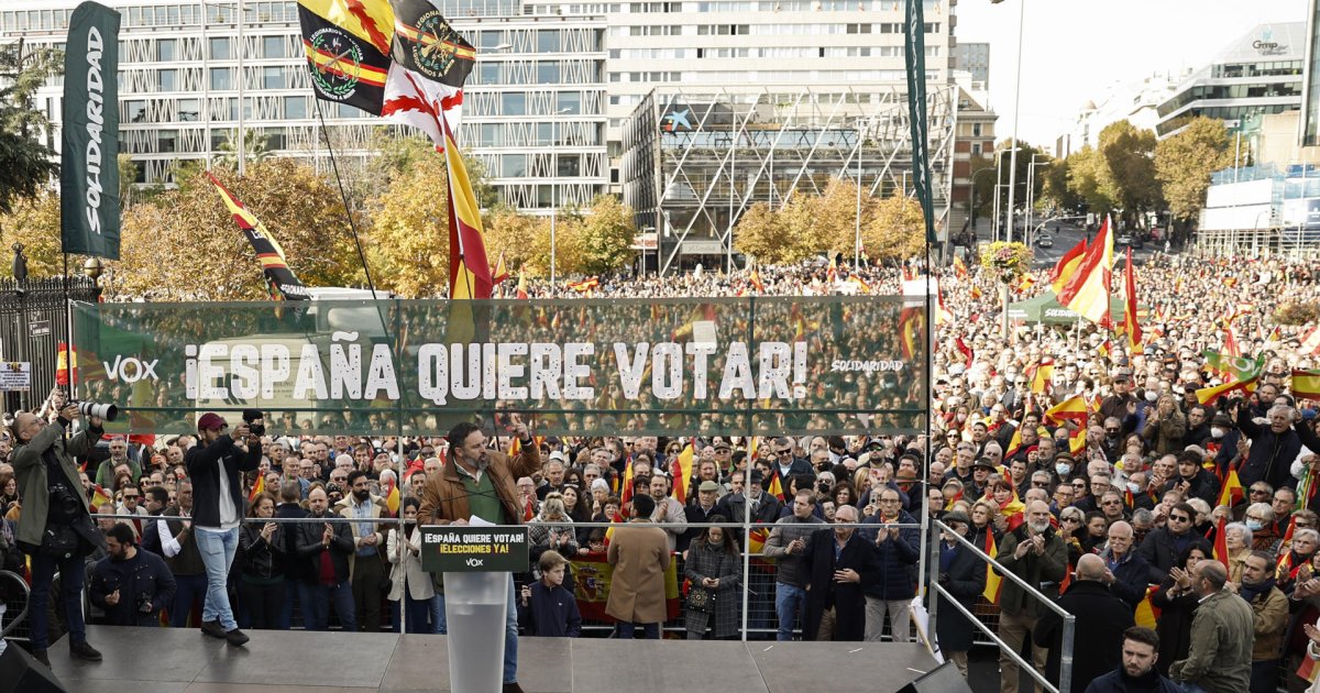 Así ha sido la manifestación de Vox en las diferentes ciudades españolas