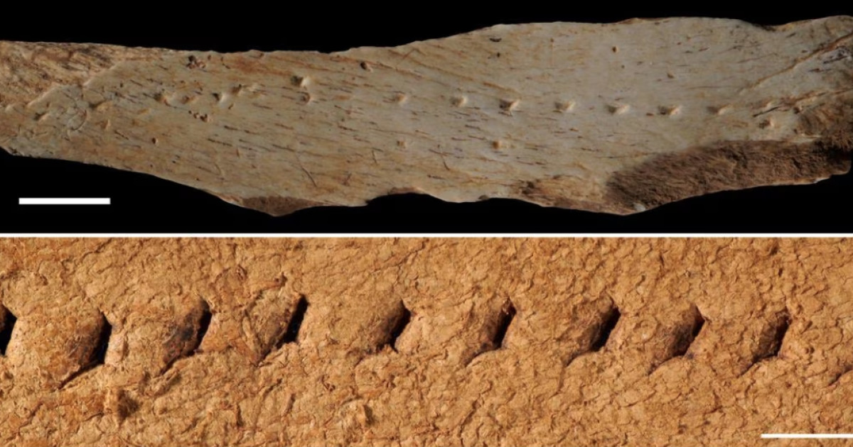 Los humanos de la Península Ibérica ya cosían su ropa hace 40.000 años