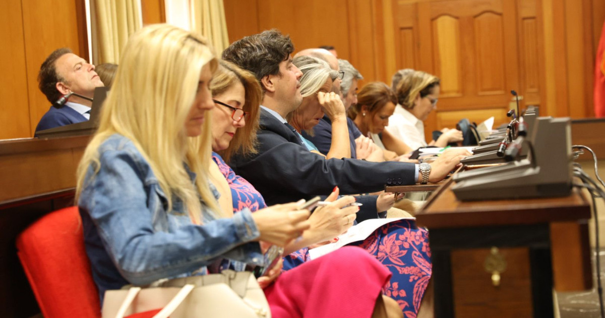 El pleno libera a los 15 ediles del gobierno local del PP y a la mitad ...