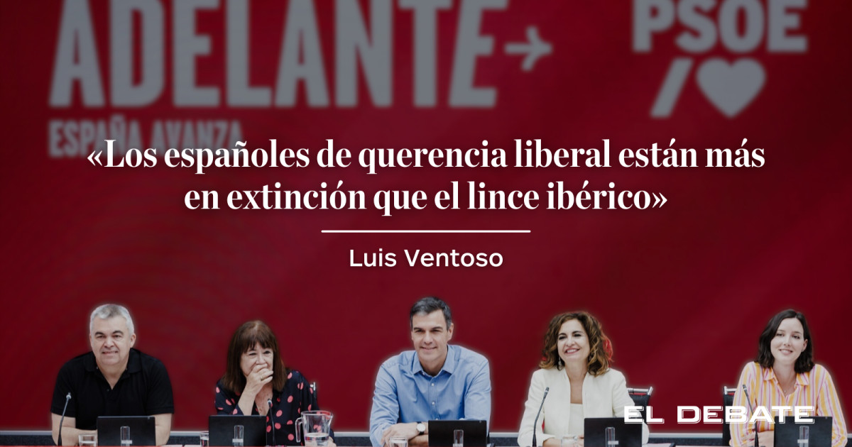 Luis Ventoso | Hemos montado un país socialista