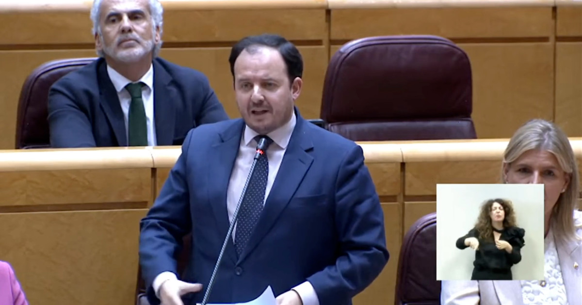 El repaso de un senador del PP al ministro Marlaska: «¿De verdad que no ...