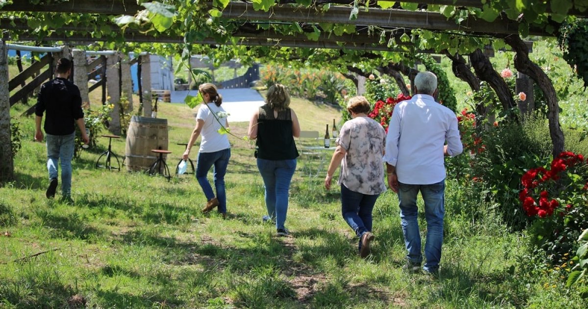 denominaciones de origen para explorar esta primavera
