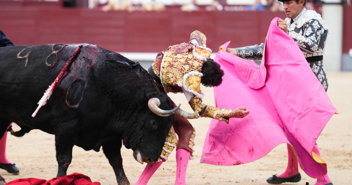 Las Espeluznantes Im genes De La Cogida De Roca Rey En La Feria De Las Espeluznantes Im genes De La Cogida De Roca Rey En La Feria De
