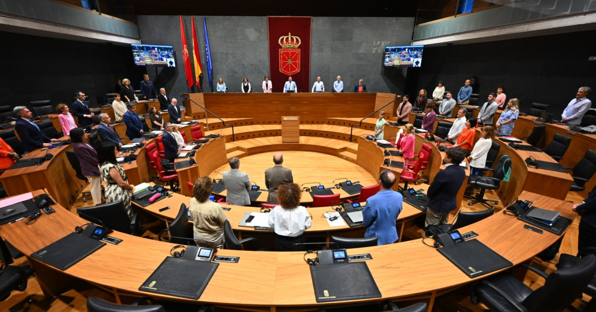 El PSOE y sus socios de Bildu tumban una declaración en el Parlamento ...