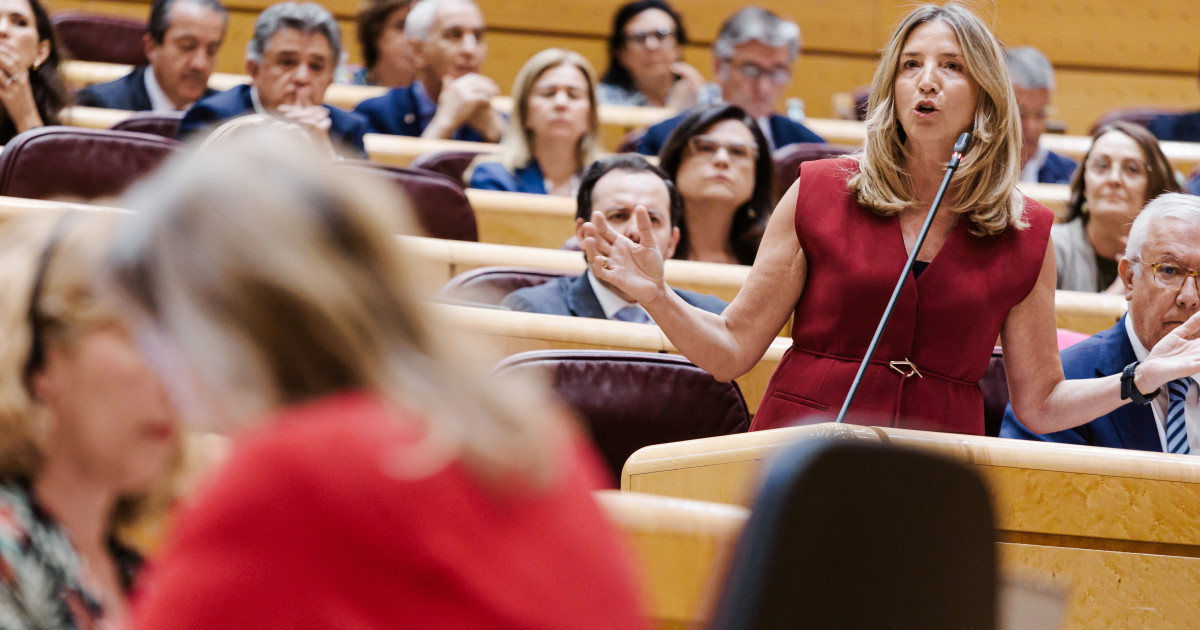 El Pleno del Senado debate la reforma del convenio económico con Navarra