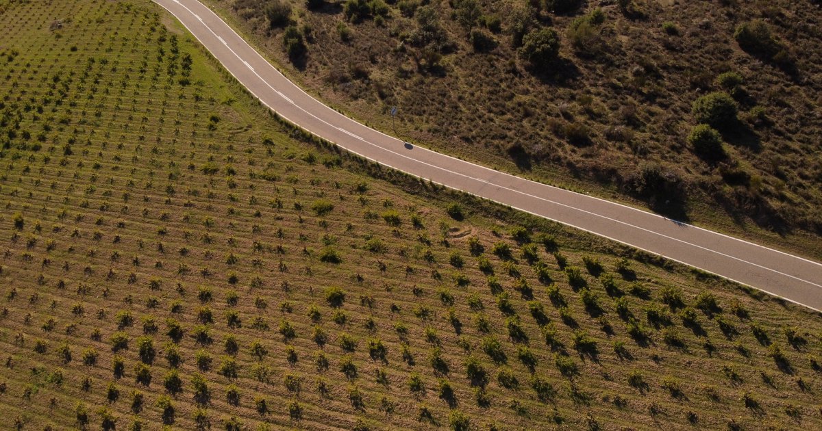 el enoturismo con alma en la Sierra Oeste de Madrid