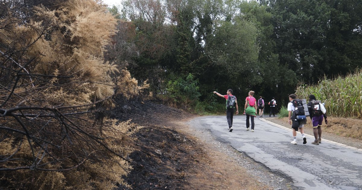 Los incendios tiñen de ceniza el Camino de Santiago: «Había una ...