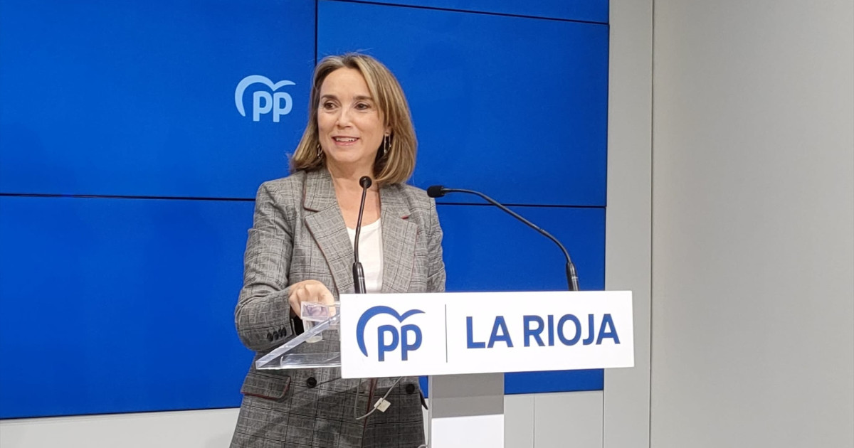 El PP quiere la Audiencia Nacional eche al PSOE del caso Koldo: «Ferraz ...