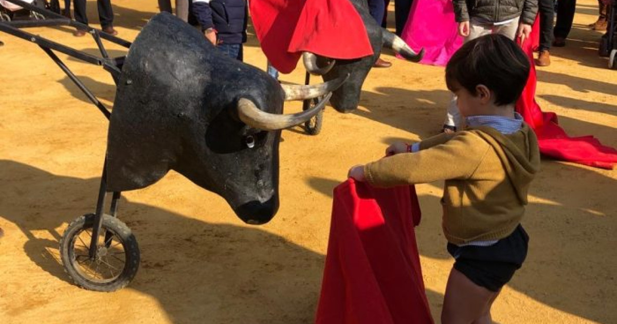 Niños en los toros: el debate que divide a Castilla-La Mancha llega ...
