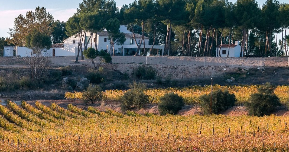la ruta de enoturismo que sorprende en Utiel-Requena