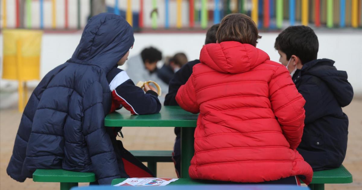 Qué dice la ley de Ayuso que pretende blindar Madrid ante la LOMLOE